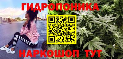 спайс Новодвинск