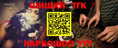 скорость Новозыбков
