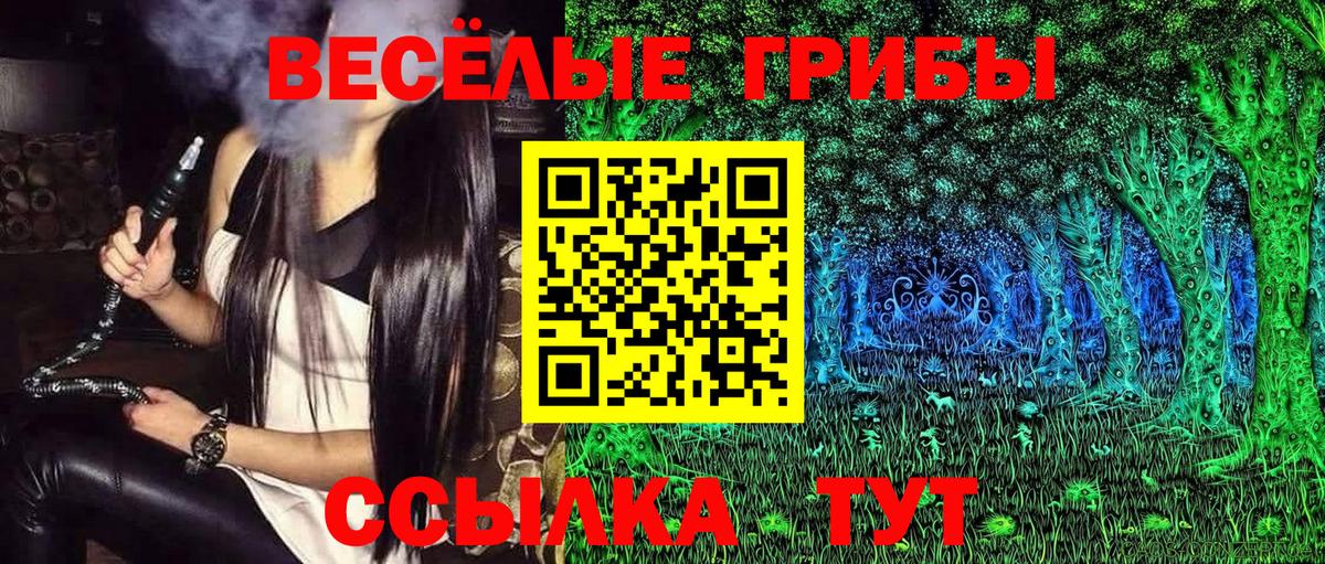 Псилоцибиновые грибы Magic Shrooms Сочи